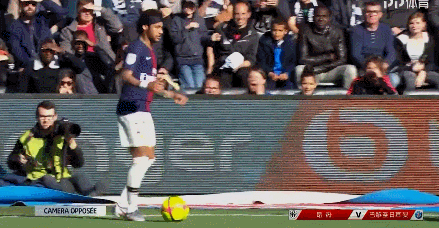 与BP多样 与BP多样